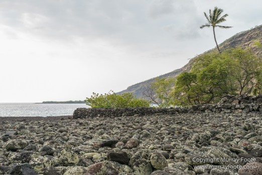 Green Turtles, Hawaii, Hikiau Hieau, Kealakekua Bay, Landscape, Nature, Photography, Punalu'u Black Sand Beach, seascape, The Big Island, Travel, Wildlife