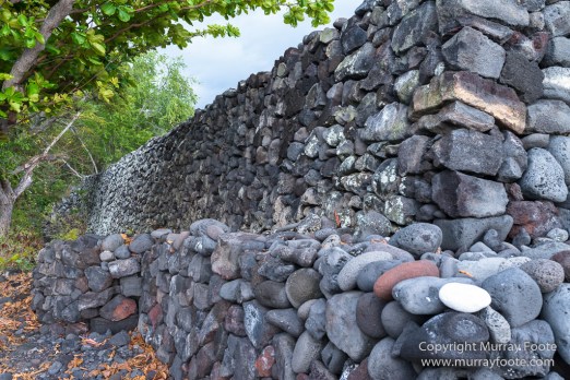 Green Turtles, Hawaii, Hikiau Hieau, Kealakekua Bay, Landscape, Nature, Photography, Punalu'u Black Sand Beach, seascape, The Big Island, Travel, Wildlife