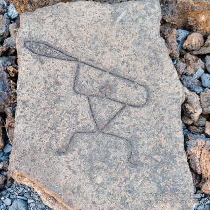 Green Turtles, Hawaii, Hikiau Hieau, Kealakekua Bay, Landscape, Nature, Photography, Punalu'u Black Sand Beach, seascape, The Big Island, Travel, Wildlife