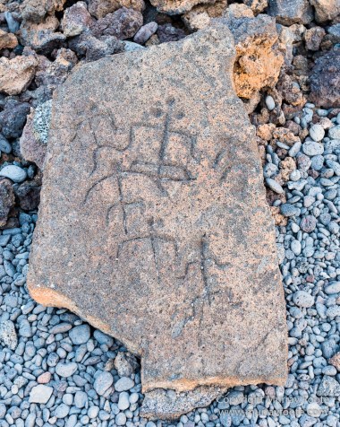 Green Turtles, Hawaii, Hikiau Hieau, Kealakekua Bay, Landscape, Nature, Photography, Punalu'u Black Sand Beach, seascape, The Big Island, Travel, Wildlife