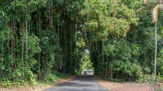 Archaeology, Hawaii, Kilauea, Landscape, Nature, Photography, seascape, The Big Island, Travel