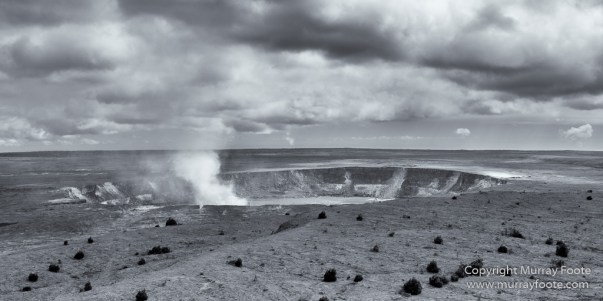 Archaeology, Black and White, Green Turtles, Hawaii, Kilauea, Landscape, Lava, Monochrome, Nature, Photography, Pu'uhonua o Honaunau, The Big Island, Travel, Waipio Bay, Wildlife