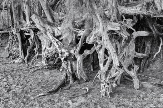 Black and White, Hawaii, Helicopter, Infrared, Kauai, Ke'e Beach, Landscape, Maha'ulepu Heritage Trail, Monochrome, Na Pali Coast, Photography, Travel, Waimea Canyon