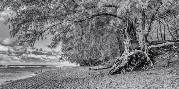 Black and White, Hawaii, Helicopter, Infrared, Kauai, Ke'e Beach, Landscape, Maha'ulepu Heritage Trail, Monochrome, Na Pali Coast, Photography, Travel, Waimea Canyon