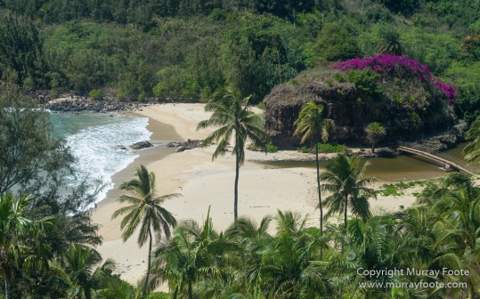 Allerton Garden, Flowers, Hale Halawai, Hawaii, Kauai, Macro, McBride Garden, National Tropical Botanical Garden, Photography, Travel