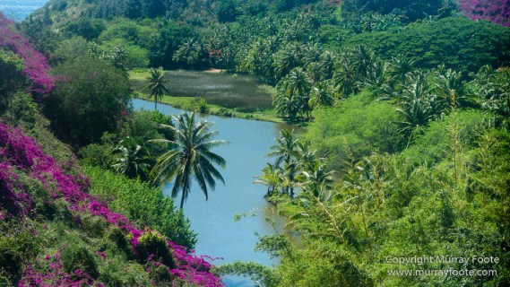 Allerton Garden, Flowers, Hale Halawai, Hawaii, Kauai, Macro, McBride Garden, National Tropical Botanical Garden, Photography, Travel