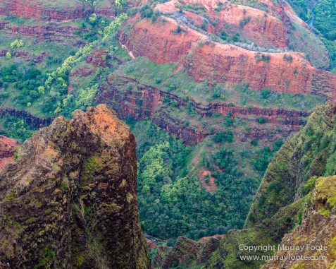 Hawaii, Kauai, Landscape, Nature, Photography, Travel, Waimea Canyon, Wilderness