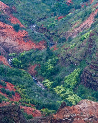 Hawaii, Kauai, Landscape, Nature, Photography, Travel, Waimea Canyon, Wilderness
