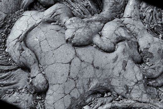 Archaeology, Black and White, Green Turtles, Hawaii, Kilauea, Landscape, Lava, Monochrome, Nature, Photography, Pu'uhonua o Honaunau, The Big Island, Travel, Waipio Bay, Wildlife