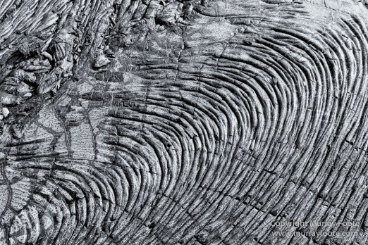 Archaeology, Black and White, Green Turtles, Hawaii, Kilauea, Landscape, Lava, Monochrome, Nature, Photography, Pu'uhonua o Honaunau, The Big Island, Travel, Waipio Bay, Wildlife