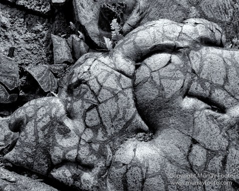 Archaeology, Black and White, Green Turtles, Hawaii, Kilauea, Landscape, Lava, Monochrome, Nature, Photography, Pu'uhonua o Honaunau, The Big Island, Travel, Waipio Bay, Wildlife