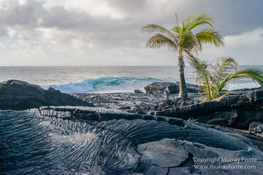 Green Turtles, Hawaii, Hikiau Hieau, Kealakekua Bay, Landscape, Nature, Photography, Punalu'u Black Sand Beach, seascape, The Big Island, Travel, Wildlife