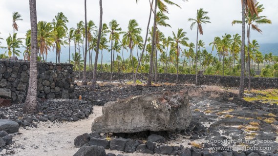 Archaeology, Green Turtles, Hawaii, History, Landscape, Nature, Photography, Place of Refuge, Pu'uhonua o Honaunau, seascape, The Big Island, Travel, Wildlife