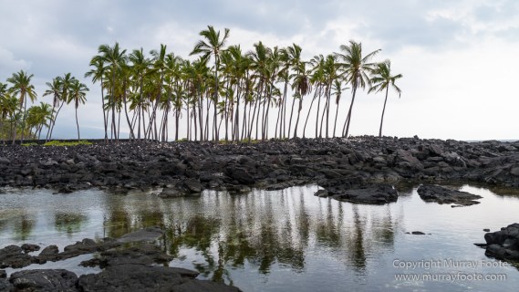 Archaeology, Green Turtles, Hawaii, History, Landscape, Nature, Photography, Place of Refuge, Pu'uhonua o Honaunau, seascape, The Big Island, Travel, Wildlife