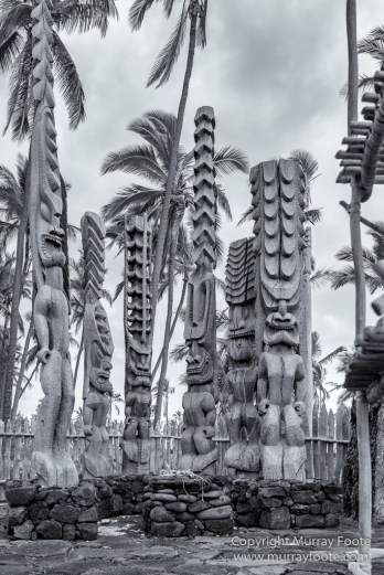 Archaeology, Black and White, Green Turtles, Hawaii, Kilauea, Landscape, Lava, Monochrome, Nature, Photography, Pu'uhonua o Honaunau, The Big Island, Travel, Waipio Bay, Wildlife