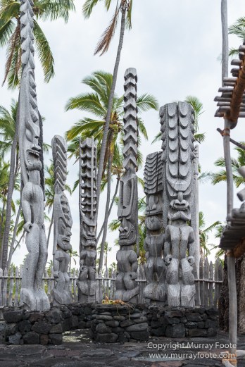 Archaeology, Green Turtles, Hawaii, History, Landscape, Nature, Photography, Place of Refuge, Pu'uhonua o Honaunau, seascape, The Big Island, Travel, Wildlife
