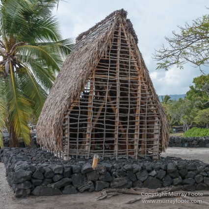 Archaeology, Green Turtles, Hawaii, History, Landscape, Nature, Photography, Place of Refuge, Pu'uhonua o Honaunau, seascape, The Big Island, Travel, Wildlife