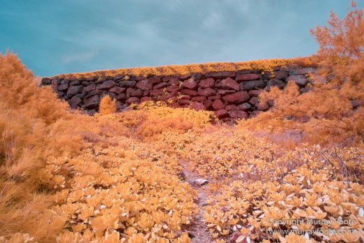Hawaii, Infrared, Kauai, Landscape, Maha'ulepu Heritage Trail, Nature, Photography, seascape, Travel, Wilderness