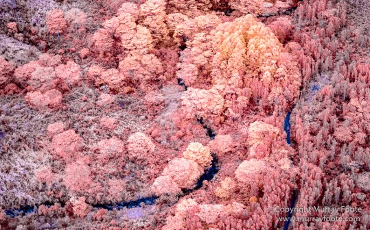 Hawaii, Helicopter, Infrared, Kauai, Kawaikini, Landscape, Mount Wai'ale'ale, Na Pali Coast, Photography, Travel, Waimea Canyon