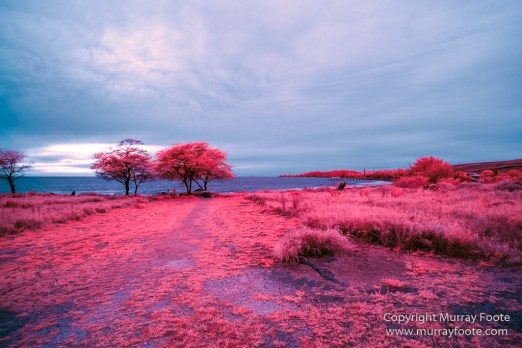 Hawaii, Infrared, Kauai, Landscape, Photography, Port Elizabeth, seascape, Travel, Waimea