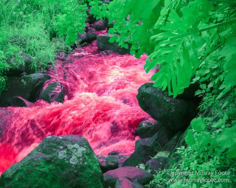 Hawaii, Iao Valley, Infrared, Kauai, La Perouse Bay, Landscape, Molokai, Nature, Photography, seascape, Travel