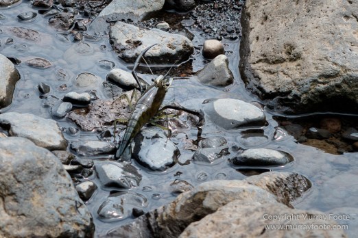 Haleakala National Park, Hawaii, Infrared, Kipahulu, Landscape, Maui, Oheo Pools, Photography, seascape, Travel