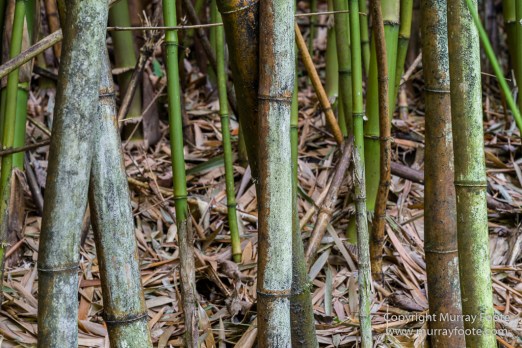 Haleakala National Park, Hawaii, Infrared, Kipahulu, Landscape, Maui, Oheo Pools, Photography, seascape, Travel