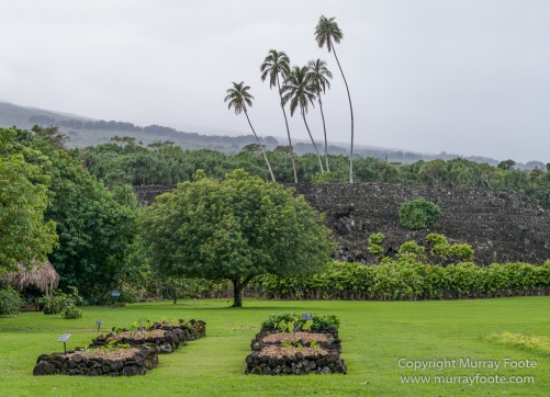 Archaeology, Hawaii, Heiaus, History, Kahanu Gardens, Landscape, Maui, Photography, Pi'ilanihale Heiau, seascape, Travel
