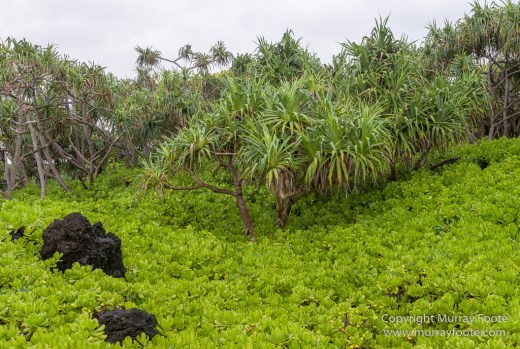 Hana, Hawaii, Landscape, Maui, Photography, seascape, Travel, Waianapanapa Black Sand Beach