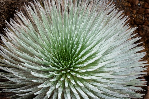 Haleakala, Haleakala National Park, Hawaii, Lanai, Landscape, Maui, Photography, seascape, Travel