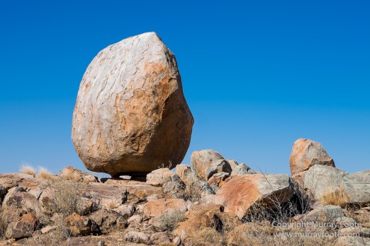 Australia, Boolcoomatta, Kangaroos, Landscape, Night Photography, Photography, South Australia, Travel
