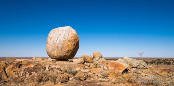 Australia, Boolcoomatta, Kangaroos, Landscape, Night Photography, Photography, South Australia, Travel