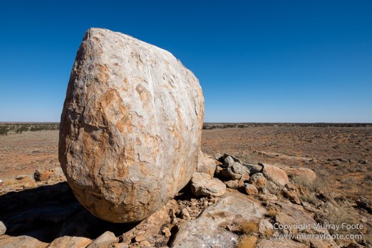 Australia, Boolcoomatta, Kangaroos, Landscape, Night Photography, Photography, South Australia, Travel
