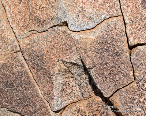 Australia, Boolcoomatta, Kangaroos, Landscape, Night Photography, Photography, South Australia, Travel