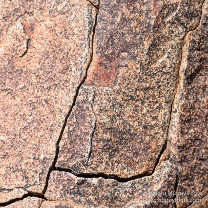 Australia, Boolcoomatta, Kangaroos, Landscape, Night Photography, Photography, South Australia, Travel