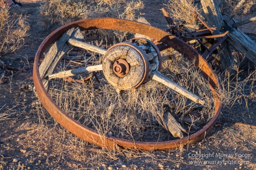 Australia, Boolcoomatta, Kangaroos, Landscape, Night Photography, Photography, South Australia, Travel
