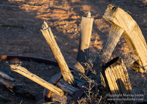 Australia, Boolcoomatta, Kangaroos, Landscape, Night Photography, Photography, South Australia, Travel