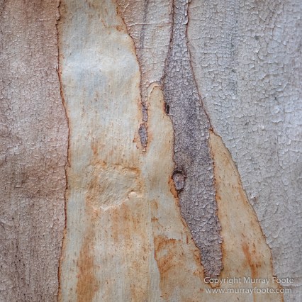 Australia, Boolcoomatta, Kangaroos, Landscape, Night Photography, Photography, South Australia, Travel