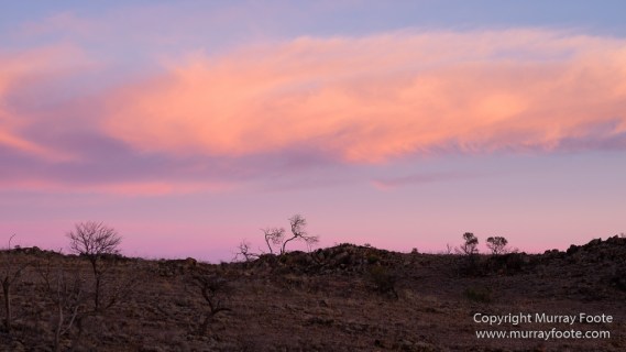 Australia, Boolcoomatta, Landscape, Night Photography, Oonartra Creek, Photography, South Australia, Travel