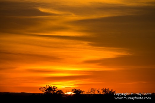 Australia, Boolcoomatta, Landscape, Night Photography, Oonartra Creek, Photography, South Australia, Travel