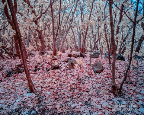Haleakala National Park, Hawaii, Infrared, Kipahulu, Landscape, Maui, Oheo Pools, Photography, seascape, Travel