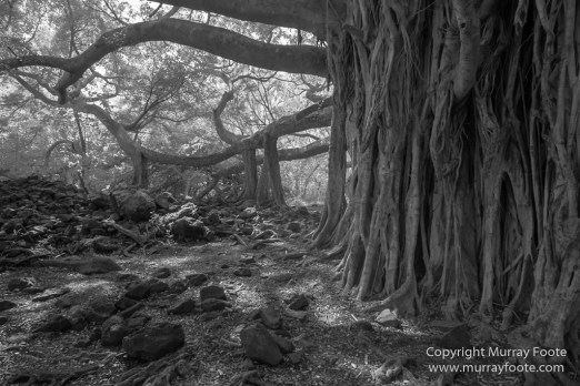 Black and White, Hawaii, Hui Aloha Church, Infrared, Kahanu Gardens, Kipahulu, Landscape, Maui, Monochrome, Photography, Pi'inihale Heiau, seascape, Travel, Waianapanapa Black Sand Beach
