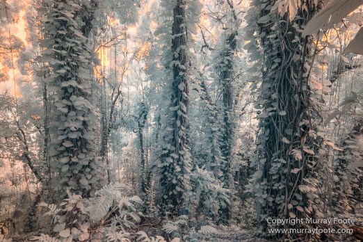 Haleakala National Park, Hawaii, Infrared, Kipahulu, Landscape, Maui, Oheo Pools, Photography, seascape, Travel