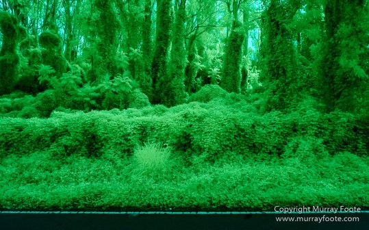 Archaeology, Hawaii, Heiaus, History, Infrared, Kahanu Gardens, Landscape, Maui, Photography, Pi'ilanihale Heiau, seascape, Travel