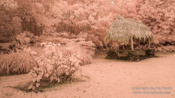 Archaeology, Hawaii, Heiaus, History, Infrared, Kahanu Gardens, Landscape, Maui, Photography, Pi'ilanihale Heiau, seascape, Travel