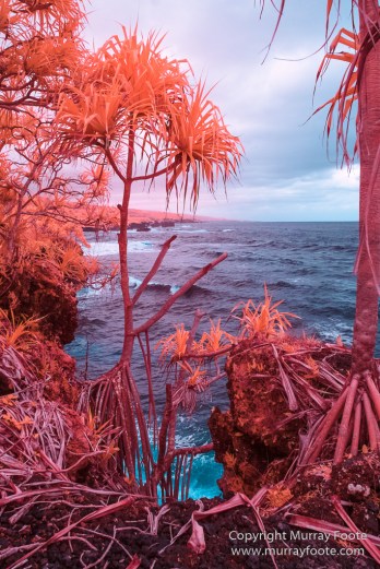 Archaeology, Hawaii, Heiaus, History, Infrared, Kahanu Gardens, Landscape, Maui, Photography, Pi'ilanihale Heiau, seascape, Travel