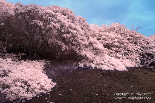 Hana, Hawaii, Infrared, Landscape, Maui, Photography, seascape, Travel, Waianapanapa Black Sand Beach