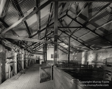 Australia, Black and White, Boolcoomatta, Boolcoomatta Station, Cars, Infrared, Landscape, Monochrome, Nature, Night Photography, Photography, South Australia, Travel
