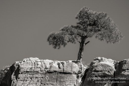 Arizona, Black and White, Grand Canyon, Infrared, Landscape, Monochrome, Night Photography, Photography, Southwest Canyonlands, Travel, USA