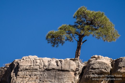 Arizona, Grand Canyon, Landscape, Photography, Southwest Canyonlands, Travel, USA